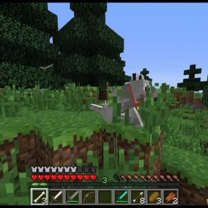 Minecraft: Survival Games, Episode 1, Part 2: Our first kill