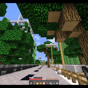 MCSG with Blamph | Tag Team with Nate252!