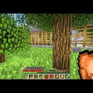 Minecraft Winning The SurvivalGames: Going Co-op With LucASS95 -- Part 1