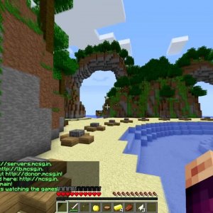 Minecraft Survival Games #15 w/Tpem: My 100th Win!!!!!!!!