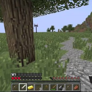Survival Games - 3000th Game
