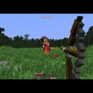 Bow, Shovel, and Flint and Steel MCSG win