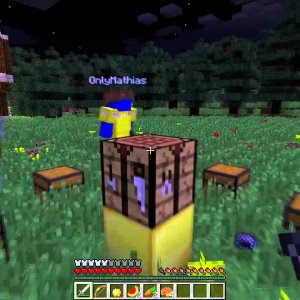 Minecraft Survival Games - People threw a cow at me the other day...