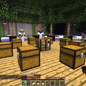Minecraft Survival Games - ModCode Rage