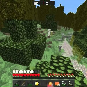 MCSG #2 I'm Back?