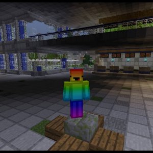 MI AMOR!!! - JUEGOS DEL HAMBRE - MINECRAFT